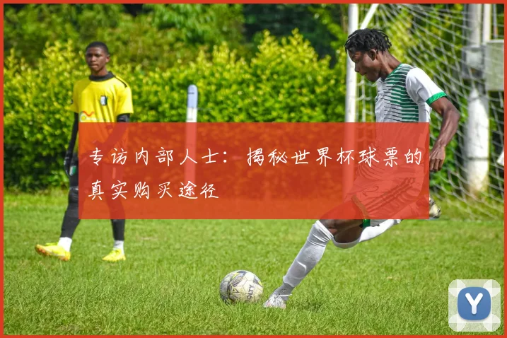专访内部人士：揭秘世界杯球票的真实购买途径