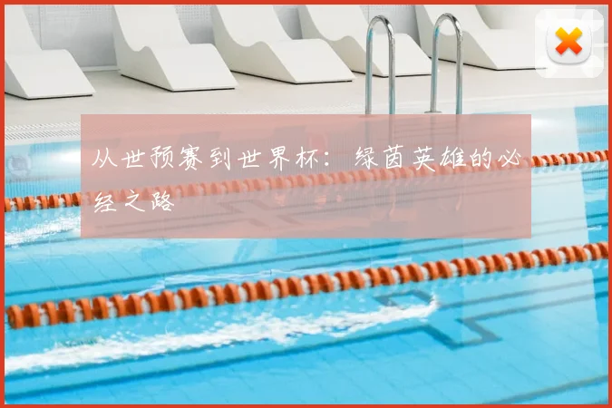 从世预赛到世界杯:绿茵英雄的必经之路