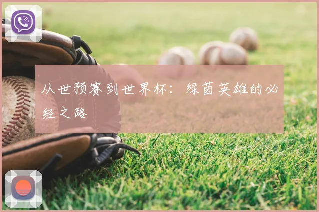 从世预赛到世界杯:绿茵英雄的必经之路