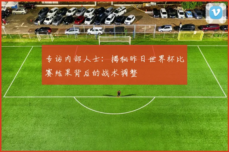 专访内部人士：揭秘昨日世界杯比赛结果背后的战术调整