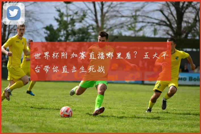 世界杯附加赛直播哪里看?五大平台带你直击生死战